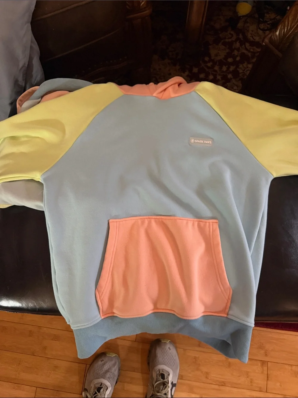 Spark paws Colorblock Pastel Hoodie - human hoodie dog hoodie